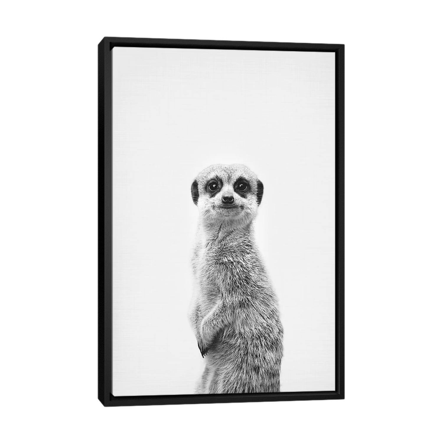 iCanvas "Meerkat" by Sisi & Seb Framed Canvas Print Bed Bath & Beyond